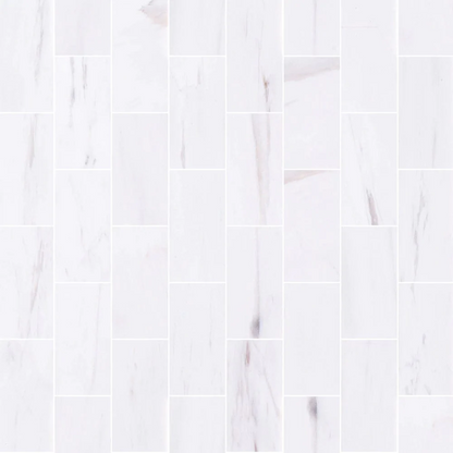 Bianco Dolomite Marble Tile Honed-Floor Collection SKU-BDMT12x12H multi top view