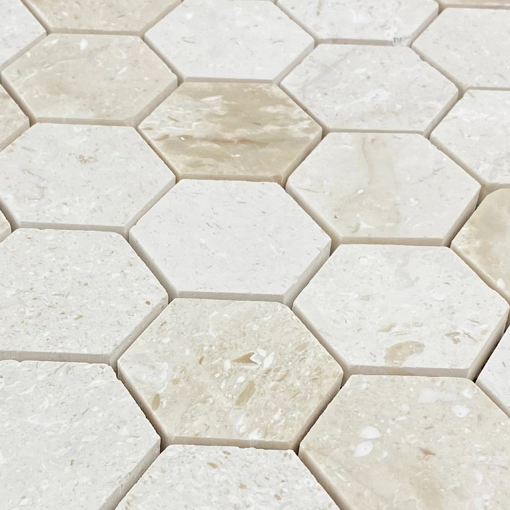 Shell Stone Limestone 2" Hexagon Honed on 12" x 12" Mesh Mosaic Tile SKU-HSSS2HEXMOSH close view